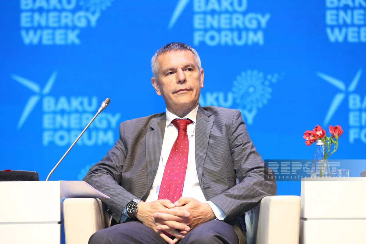 Carlo Beltrame: Steps can be taken in Nakhchivan regarding transition to green energy