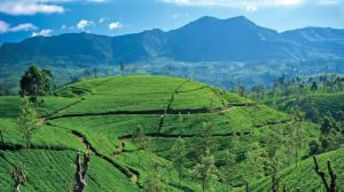 Sri Lanka launches country-wide internet coverage