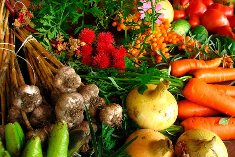 Cəlilabadda bu il tərəvəz sahələri 40 hektara yaxın azaldılıb