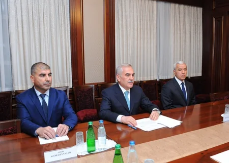 Naxçıvanda Vasif Talıbov ilə Binəli Yıldırım arasında görüş olub