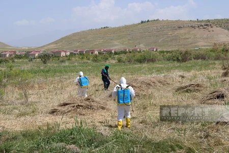 Uzunoba su anbarının yuxarı hissəsində təmizlik və dərmanlama işləri aparılıb