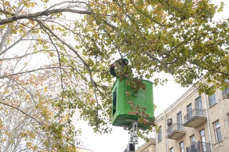 Bakıda 550 küçə dezinfeksiya edilib