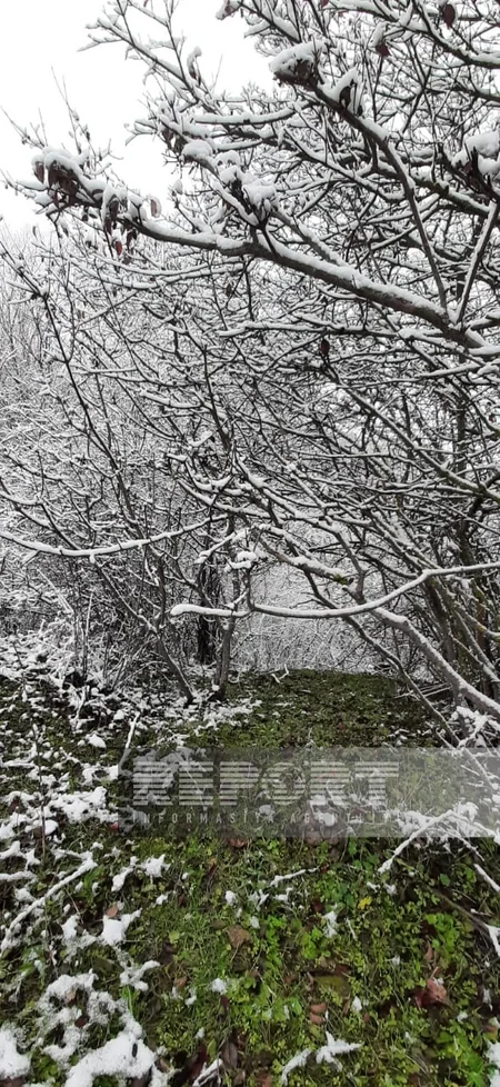 В Шамахинском районе выпал первый снег