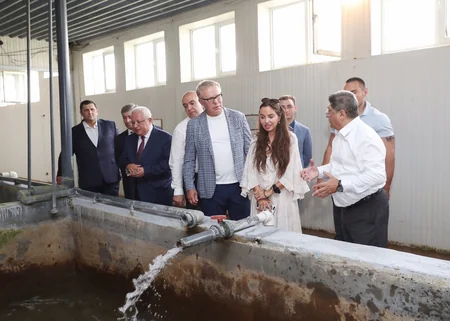 Состоялась церемония выпуска в Каспий мальков осетровых, выращенных на Хыллинском заводе
