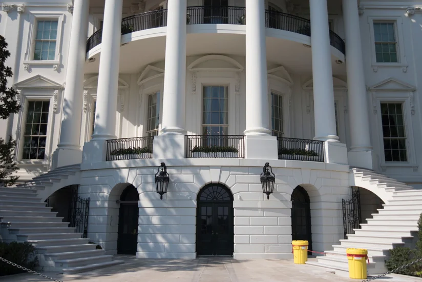 Собака Байдена пройдет процедуру индогурации