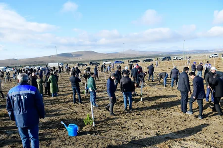Tree-planting campaign held on 30th anniversary of New Azerbaijan Party