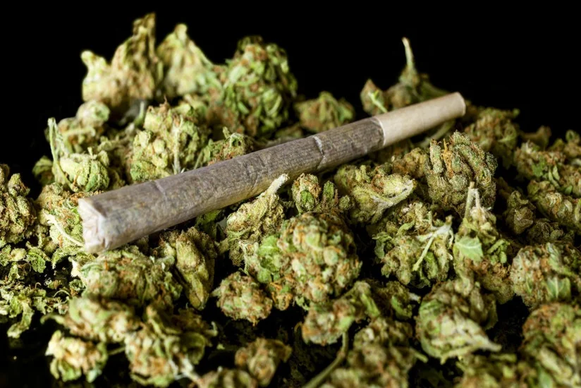 В Канаде вступил в силу закон о легализации марихуаны