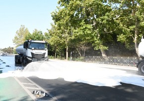 Mərkəzi Nəbatat Bağında iməcilik keçirilib
