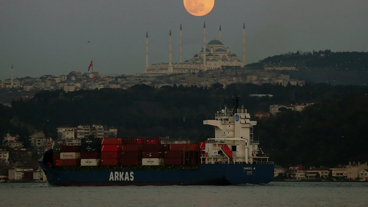 Bosporus temporarily closed to navigation due to heavy fog