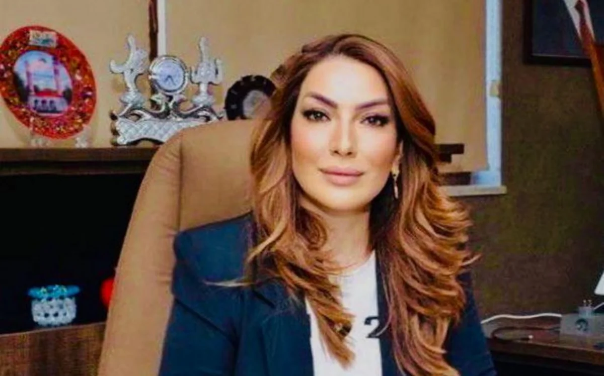 “Yeniyetmələri və gəncləri aqressiyadan xilas etmək lazımdır, əks halda nəticələri çox ağır olacaq” - RƏY