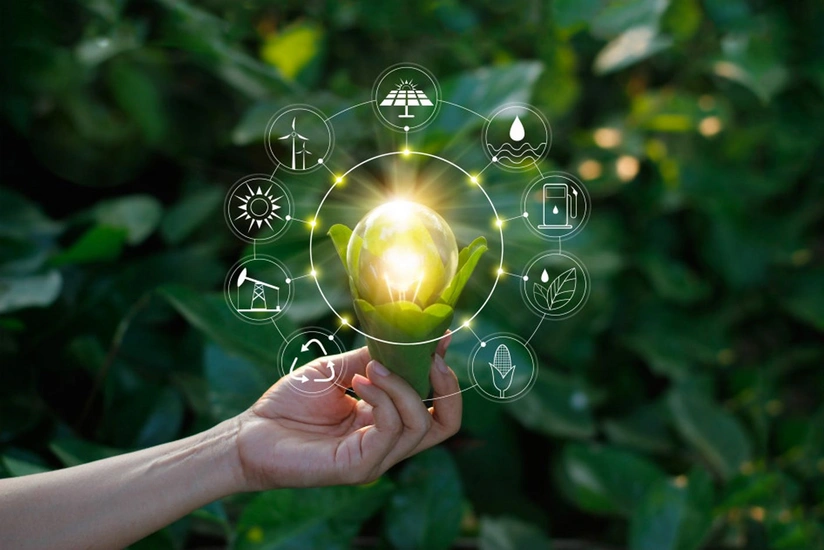 ‘GREEN LIGHT’ - key issue on agenda