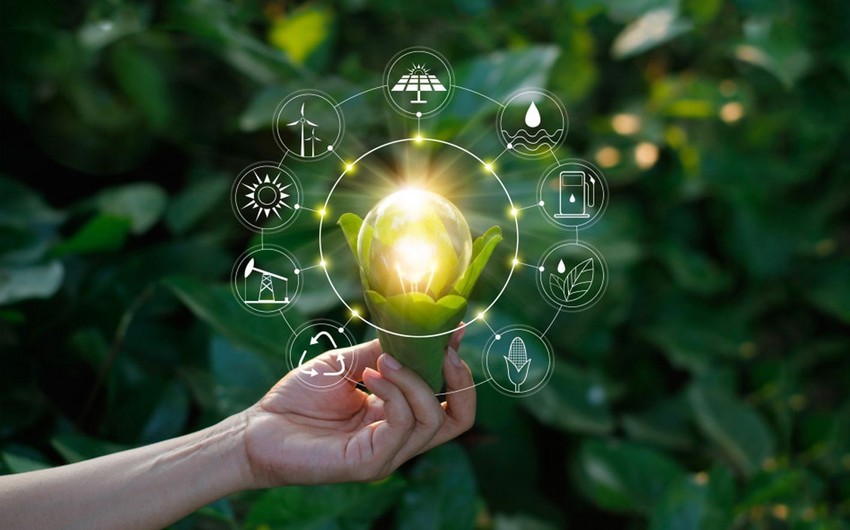 ‘GREEN LIGHT’ - key issue on agenda
