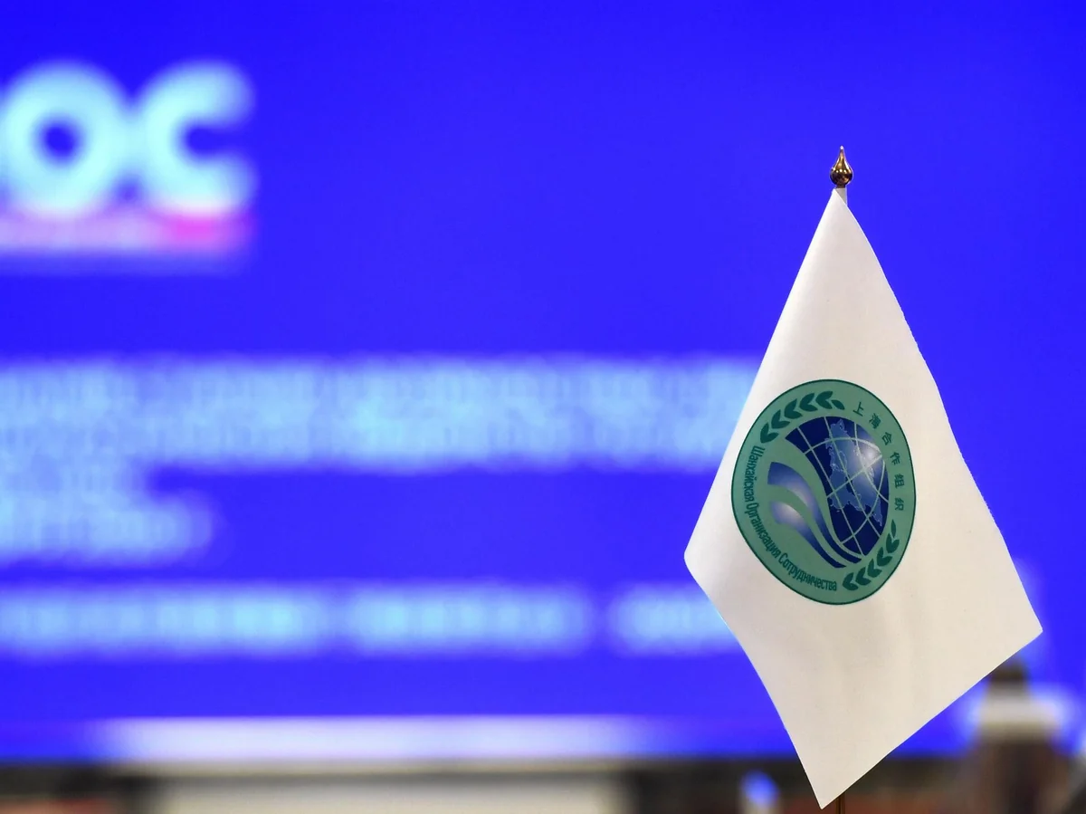 Intelligence services of SCO member countries conduct drills in New Delhi to repel terror cyberattacks