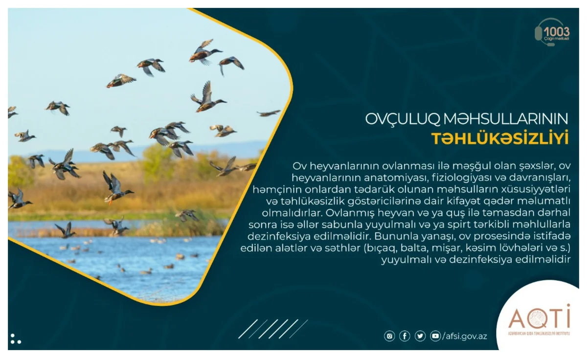Ovçuluq məhsullarının təhlükəsizliyi - MƏQALƏ