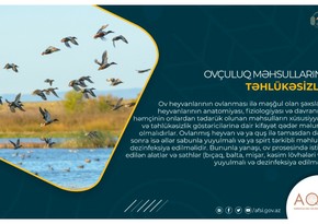 Ovçuluq məhsullarının təhlükəsizliyi - MƏQALƏ