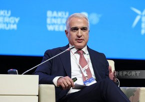 Самир Ахундов: Успешная интеграция ВИЭ невозможна без стабильной энергосети