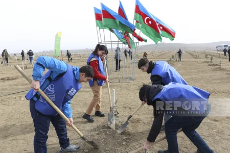 Global Media Group “Yaşıl dünya naminə həmrəylik ili” çərçivəsində ağacəkmə aksiyası keçirib