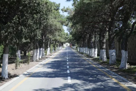 “Abşeron” mədə-bağırsaq təyinatlı sanatoriyasında şərait yaxşılaşdırılıb, müəssisə müasir tibbi avadanlıqlarla təchiz olunub