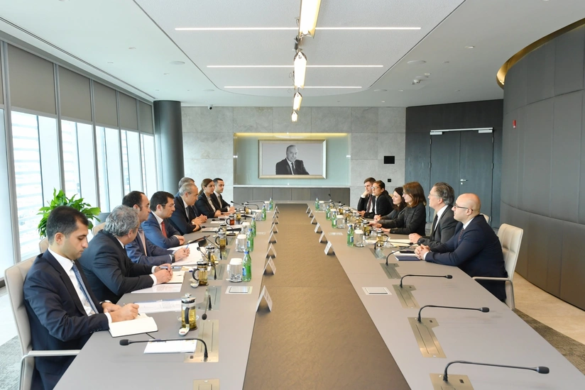 Economic reforms in Azerbaijan discussed with international organizations