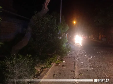 Güclü külək paytaxtda bir sıra fəsadlar törədib