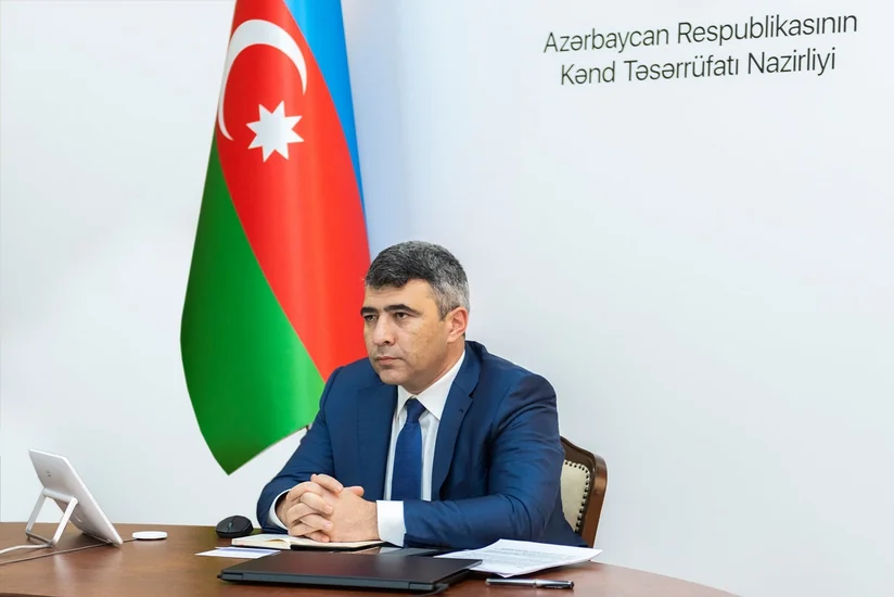 Gələn ildən pambıq, tütün və şəkər çuğunduru üçün subsidiyalar məhsula görə hesablanacaq