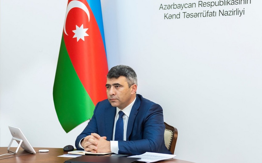 Gələn ildən pambıq, tütün və şəkər çuğunduru üçün subsidiyalar məhsula görə hesablanacaq