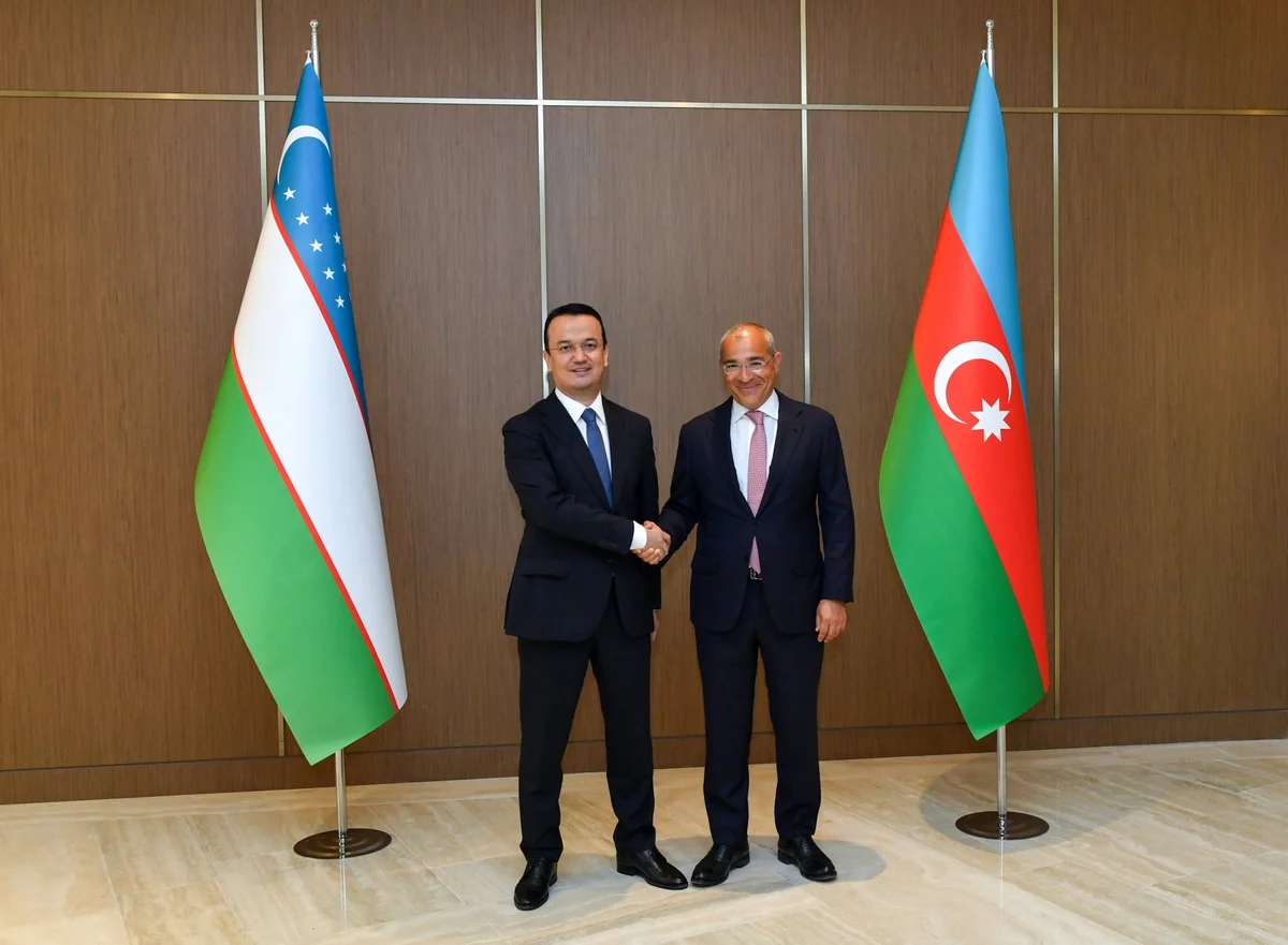 Azerbaijan, Uzbekistan may cooperate in field of industrial parks
