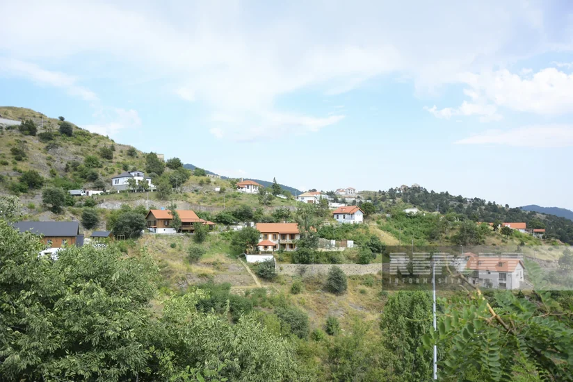 Laçına həyat qayıdır - REPORTAJ