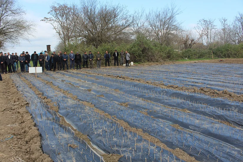Azərbaycanda müasir texnologiya əsasında yeni tingçilik təsərrüfatı yaradılır