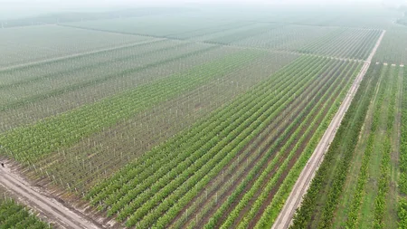 President Ilham Aliyev inspects operations of horticulture and cold storage complex in Gusar District