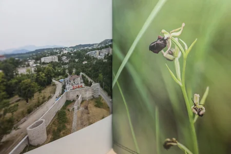 Azərbaycanda 44 günlük Vətən müharibəsinə həsr olunan fotojurnal işıq üzü görüb