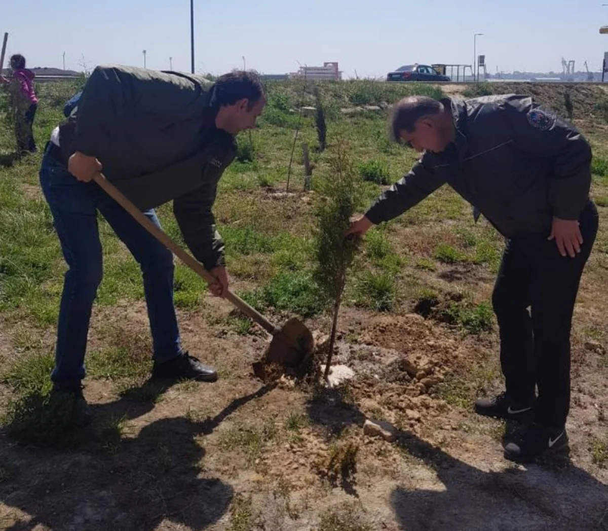 Jurnalistlərin binası qarşısında 300 meyvə və şam ağacı əkilib - FOTO