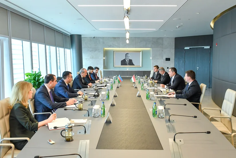 Areas for strengthening relations between Azerbaijan and Hungary named