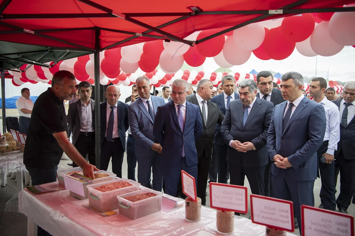Hacıqabulda toxum sərgi-satış yarmarkası keçirilib