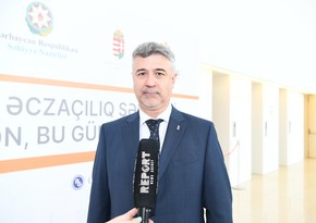 Səfir: Macarıstanla Azərbaycan arasında bərpaolunan enerji sahəsində ən böyük layihə yaşıl enerji dəhlizidir
