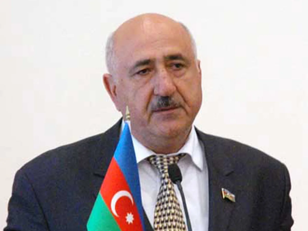 Deputat: Məqsədli şəkildə yazırlar ki, altı vitse-prezident olacaq