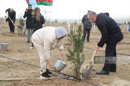 Heydər Əliyevin 100 illik yubileyi ilə əlaqədar növbəti ağacəkmə aksiyası keçirilib