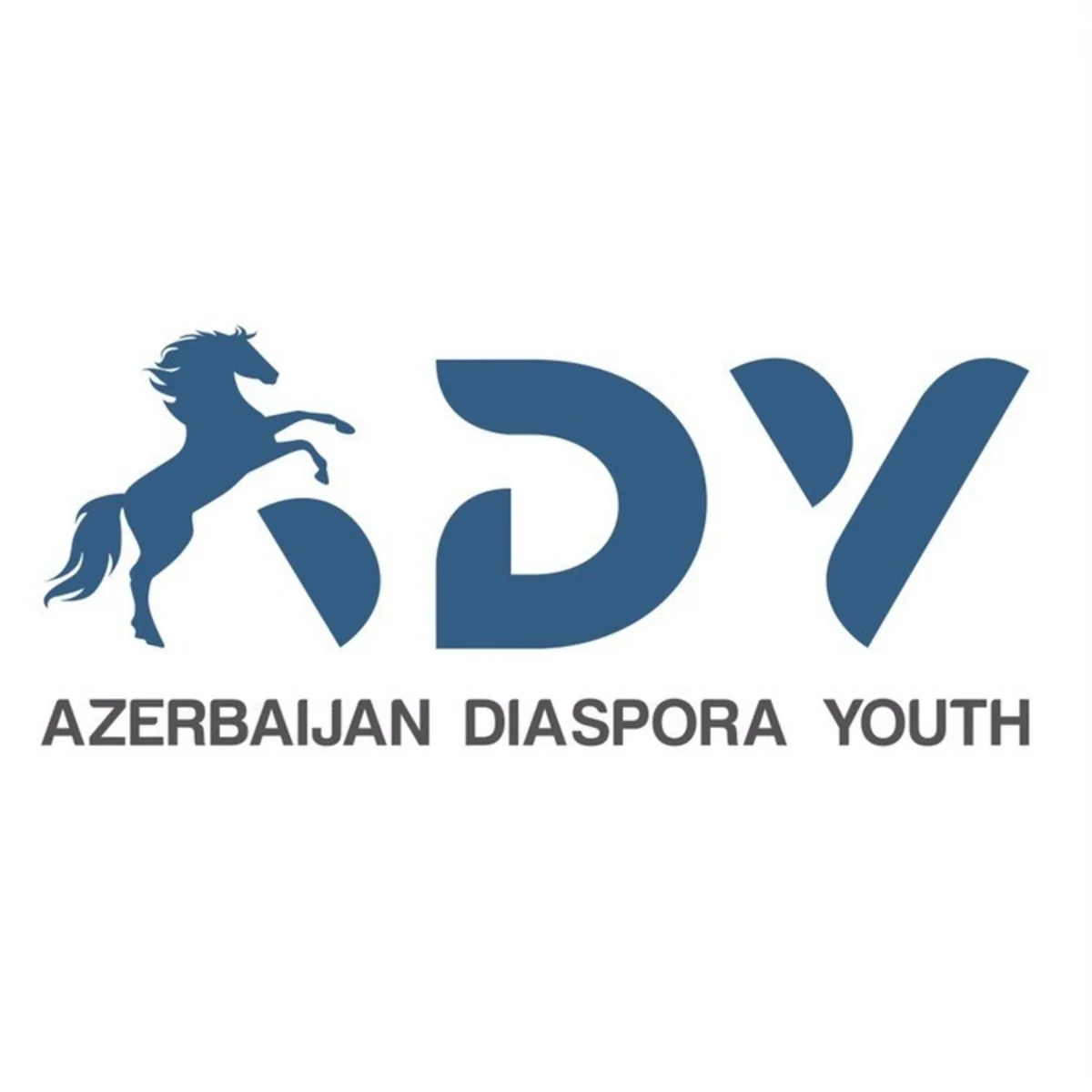 “Azərbaycan Diaspor Gəncləri” təşkilatı fəaliyyətə başlayıb