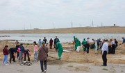 Qala Dövlət Tarix-Etnoqrafiya Qoruğunda genişmiqyaslı iməcilik keçirilib