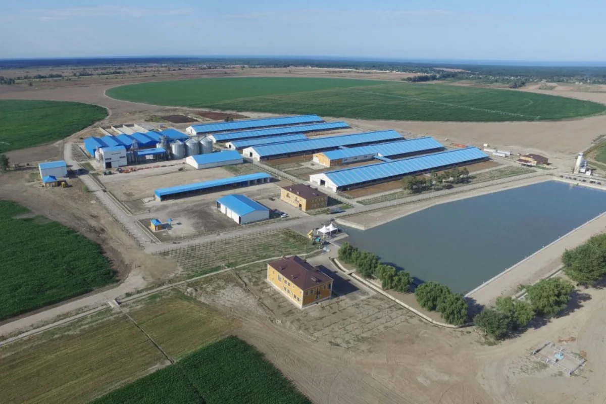 Azərbaycandakı aqroparklarda pivotaltı sahələr 100 min hektara çatdırılacaq