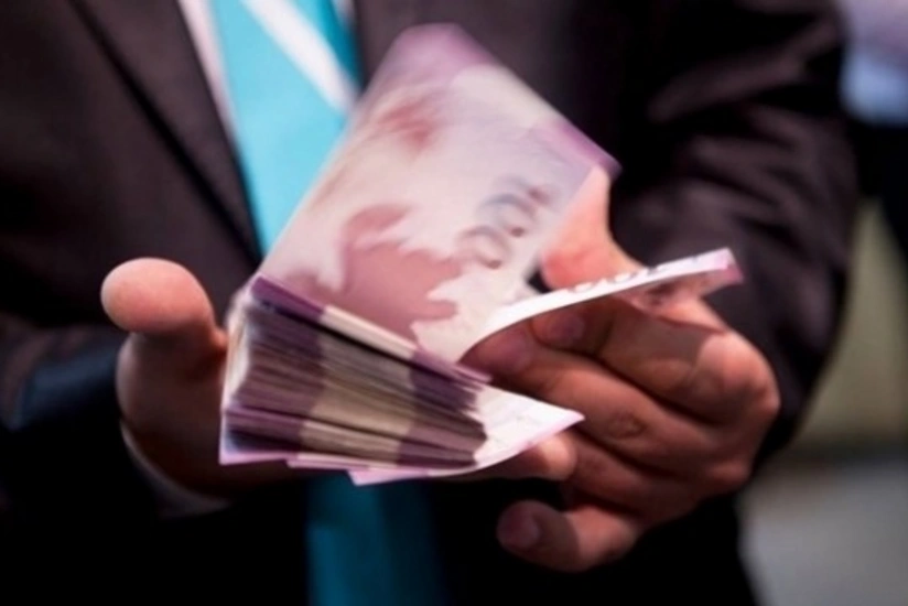 Azərbaycan vətəndaşı qarışqa sancmasına görə 16 min manata yaxın sığorta ödənişi alıb