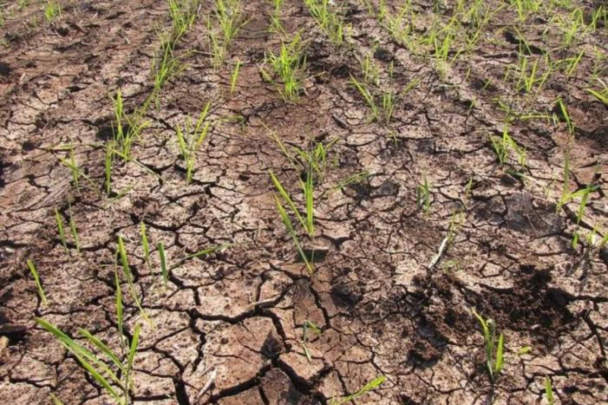 Matthew Griffiths: OECD is helping Azerbaijan fight against drought and water scarcity in agricultural sector
