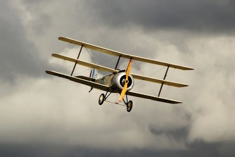 Plane crashes near Lithuanian-Russian border, pilot dies