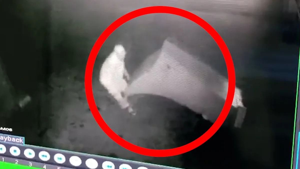 Bakıda ödəmə terminalı oğurlanıb