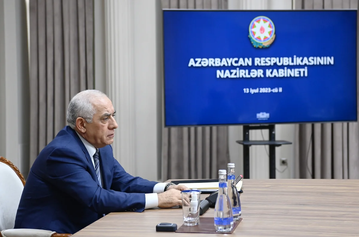 Əli Əsədov Söyüdlüdə nöqsanların ciddi araşdırılması ilə bağlı ETSN və FHN-ə tapşırıqlar verib