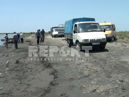 Azərbaycanda daha 5 mln. ədəd nərəcinsli körpə balıq təbii yaşayış şəraitinə buraxılıb