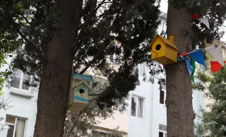 Bakıda növbəti abad həyət istifadəyə verilib