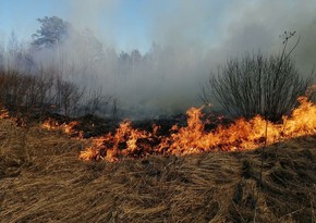 Over 600 evacuated due to forest fires in Mari El