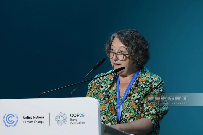Ruth Davis: It's time to apply integrated approach to environmental issues
