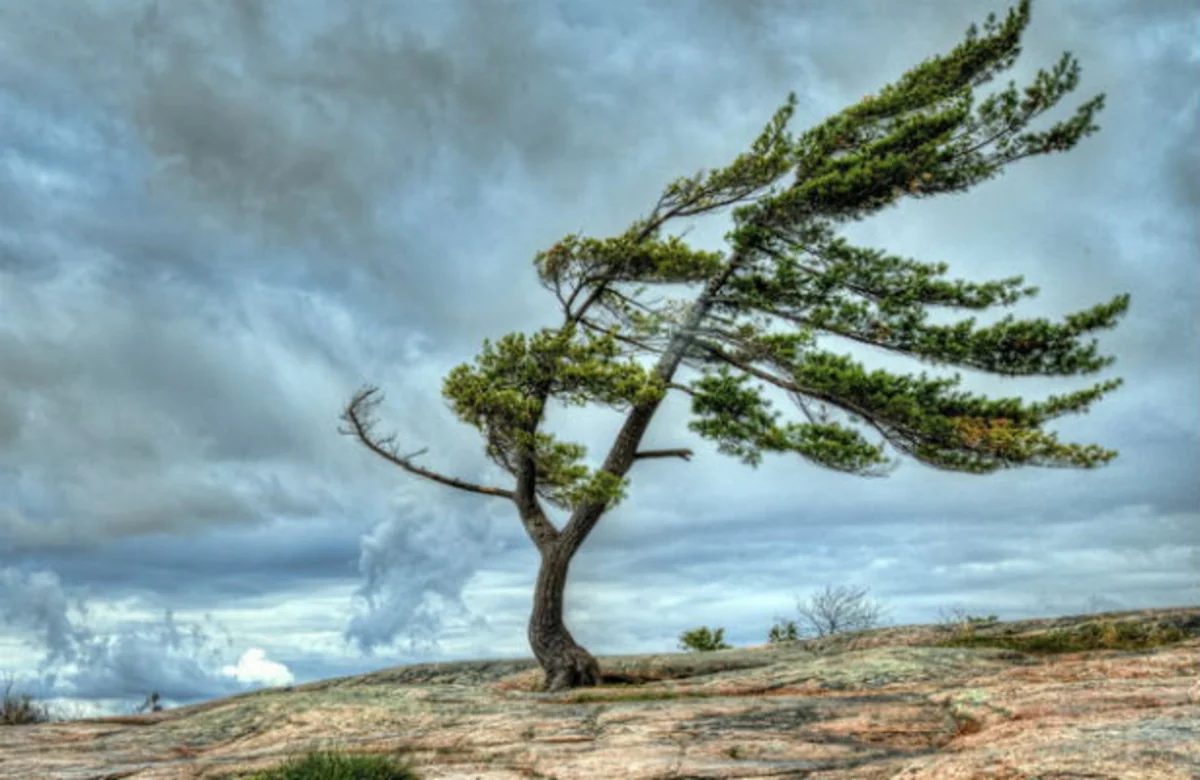 ETSN hava şəraitinin dəyişəcəyi ilə bağlı xəbərdarlıq edib
